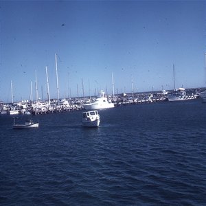 cover image of John Fitzhardinge - Digital Oral History